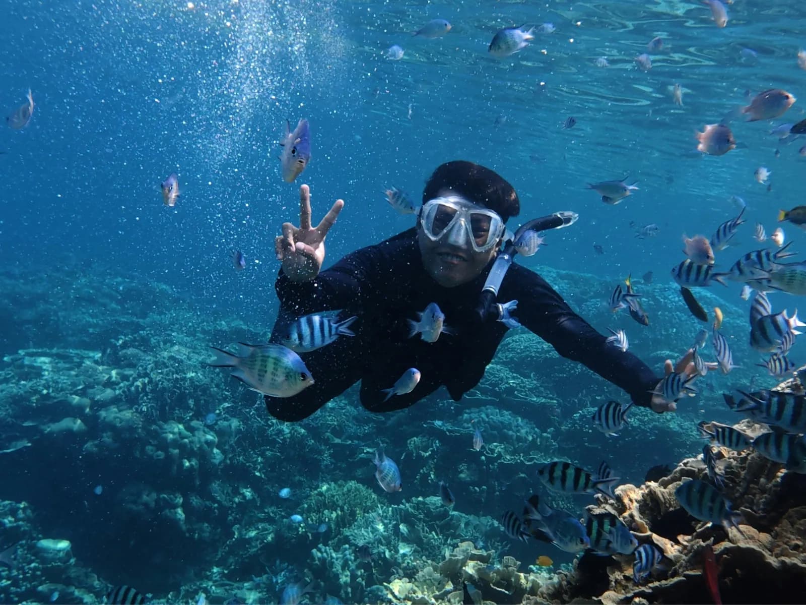 Mergulho com snorkel nos recifes da Costa do Descobrimento